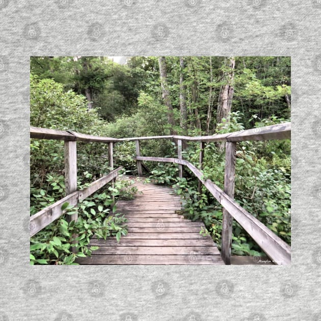 Woodland Pathway Frontenac Provincial Park by MaryLinH